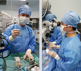 14岁角膜盲患者重见光明 生物工程角膜为广东患者带来新生