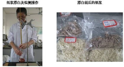 生物工程 生命科学与技术创新的交汇点——以食品与生物工程系为视角