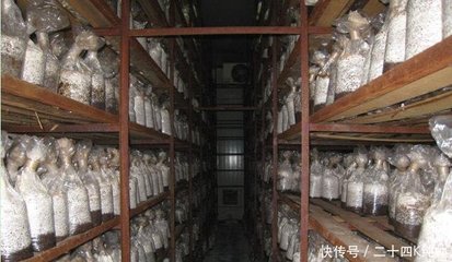未来的三种农业模式 《向往的生活》由生物工程唱响主旋律